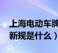 2024年电动车牌租赁一年多少钱(2024年电动车牌租赁费用)